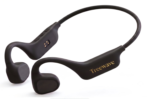 Hearing Aids